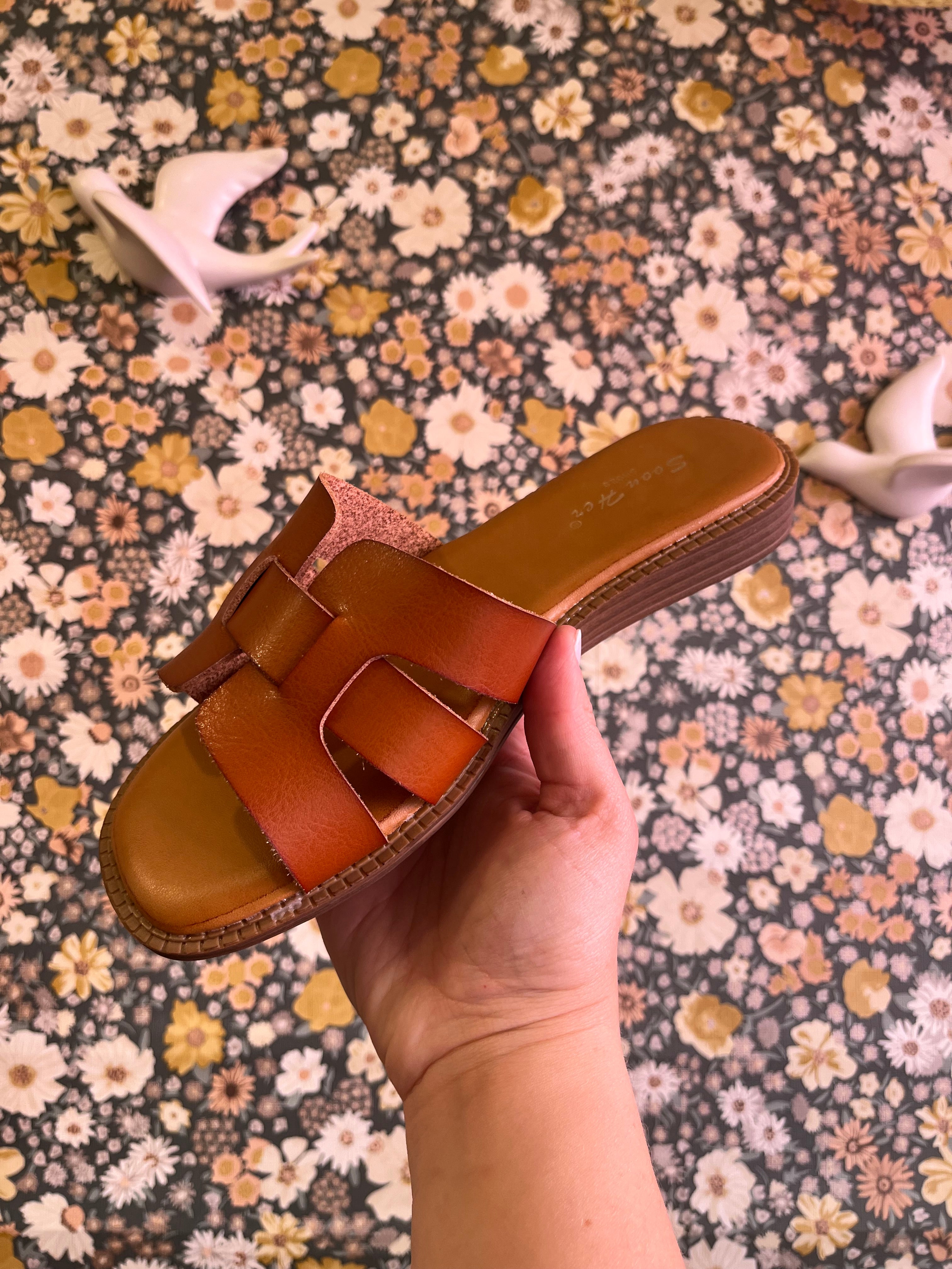 Mule camel style Oran